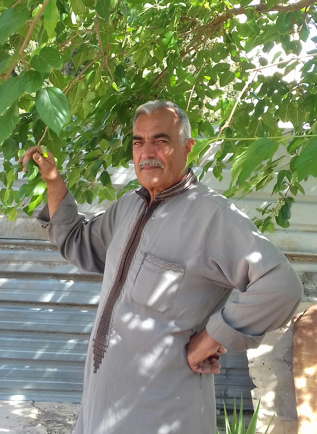 ���� ����_rZScd