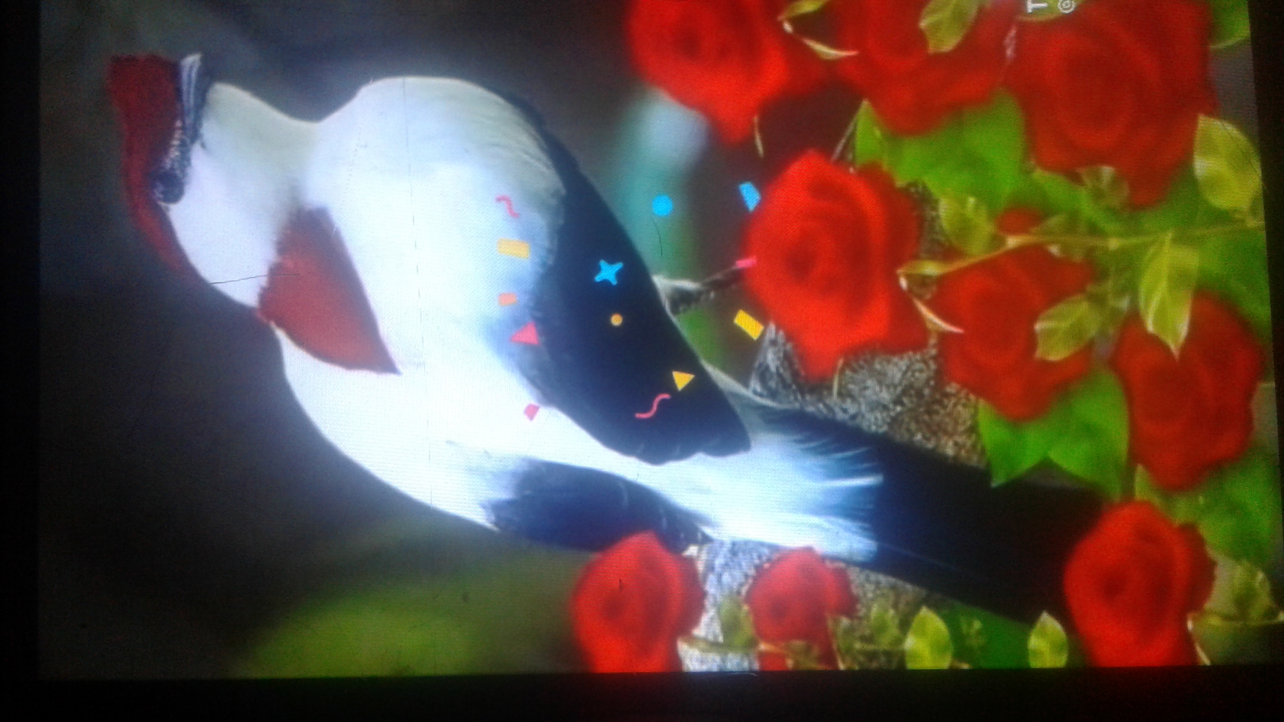 ��� ��� ���_CQFy2