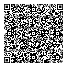 RAHIBPRO DIAGAUTO_RE8XE