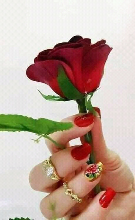 �� �����