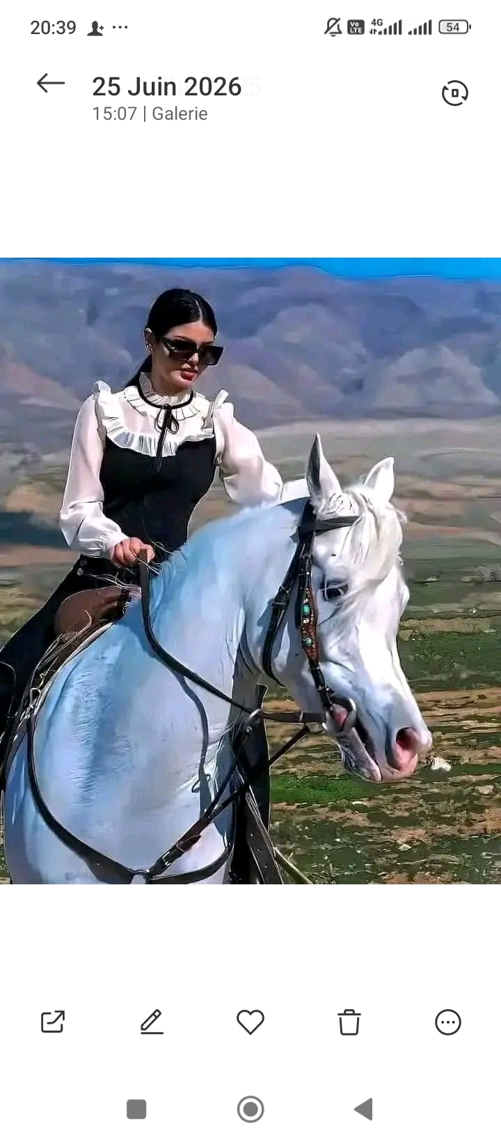Yasmine El yansi_p28N5